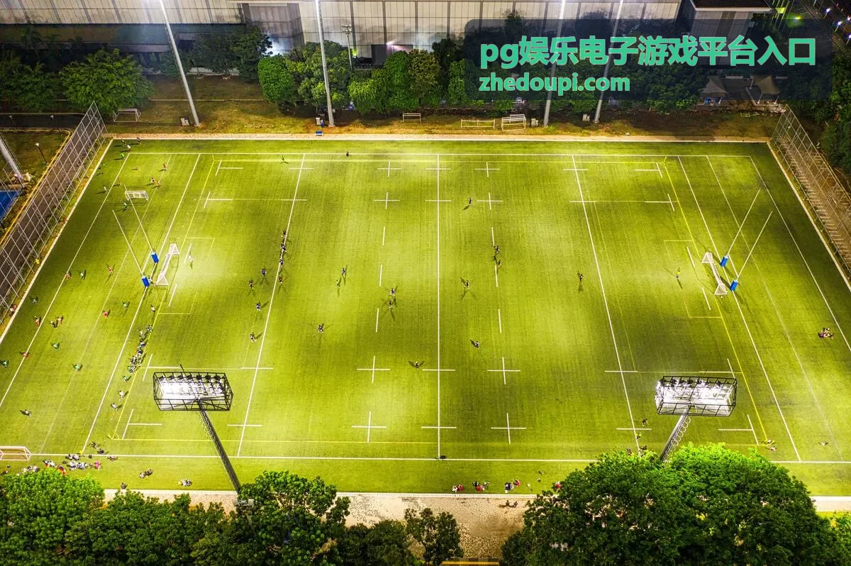 pg娱乐电子游戏平台入口站内跳转链路完整走一遍