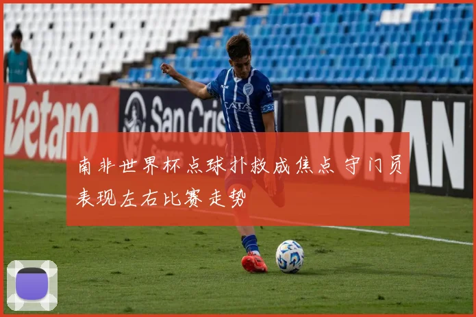 南非世界杯点球扑救成焦点 守门员表现左右比赛走势