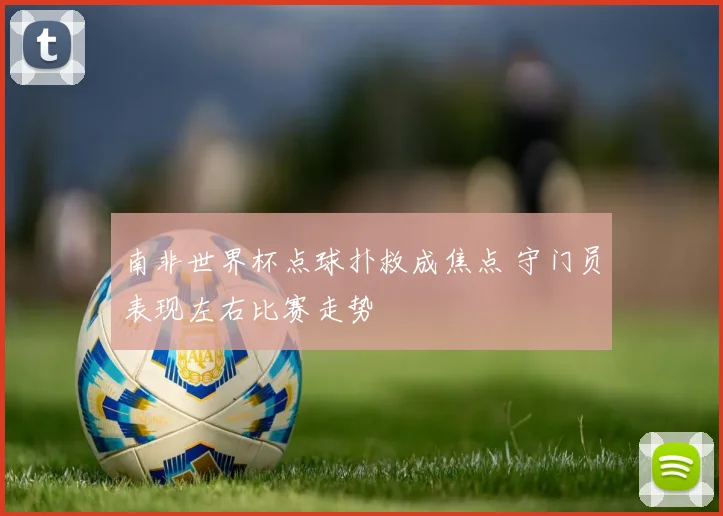 南非世界杯点球扑救成焦点 守门员表现左右比赛走势